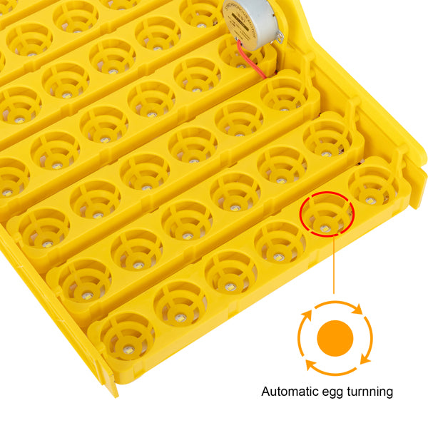 42-Egg Practical Fully Automatic Poultry Incubator with Egg Candler