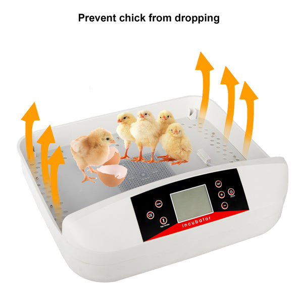 42-Egg Practical Fully Automatic Poultry Incubator with Egg Candler